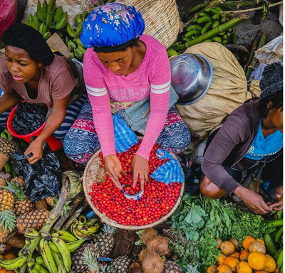 Haitian Partners