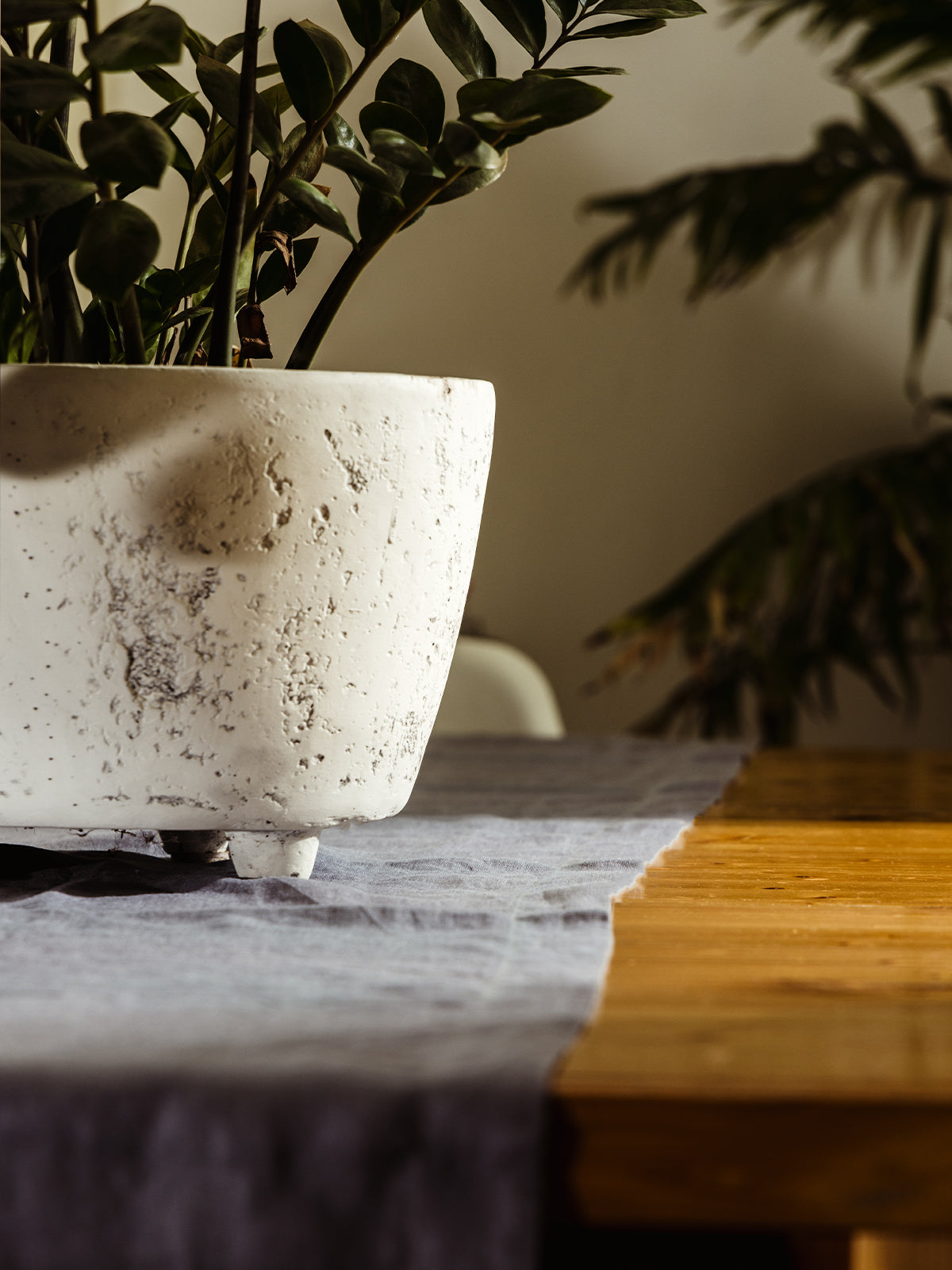 Minimalist white textured planter with green foliage sitting on a soft gray linen table runner. A perfect blend of natural textures for modern home decor.