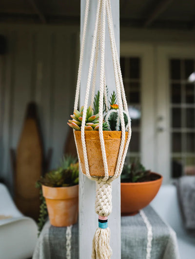 Close-up of a macramé plant hanger holding a terracotta pot with a variety of colorful succulents, hanging on a porch with blurred background details of another potted plant and a door.