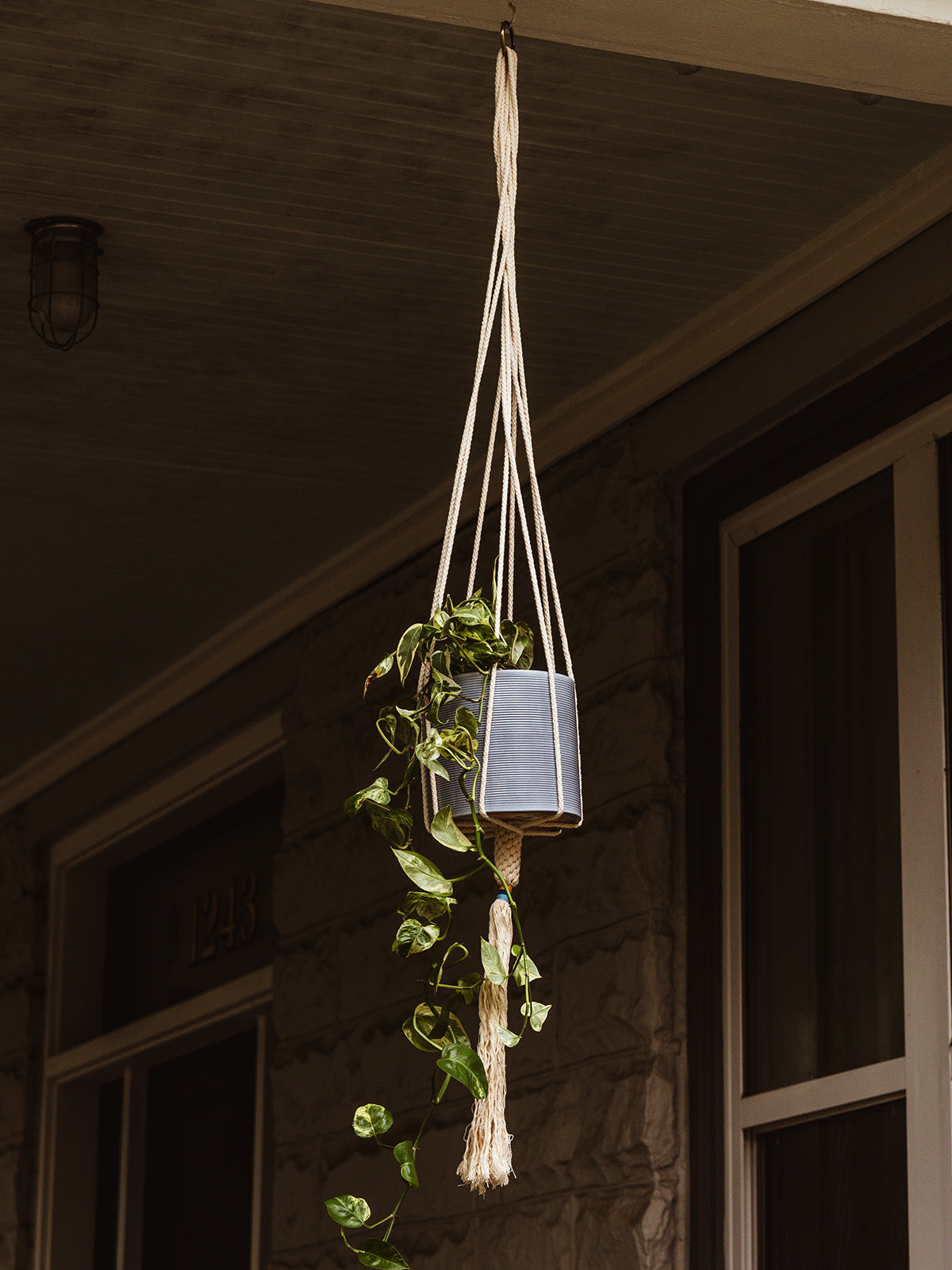 Outdoor hanging plant in a blue pot, suspended by a macramé plant hanger with a long trailing vine, set against a stone wall