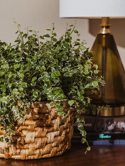 Banana leaf hanging basket without hanger placed on table with plant inside. 