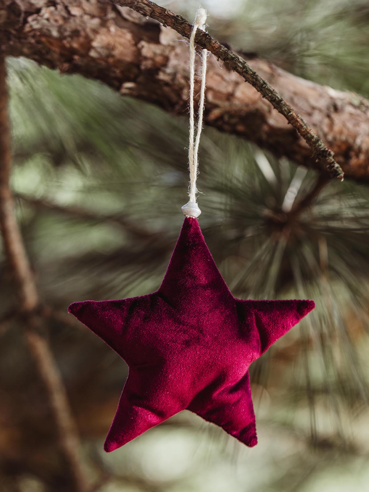 Handcrafted burgundy fabric star ornament, suspended from twine on a pine branch, showcasing a soft and festive design for Christmas decorations.